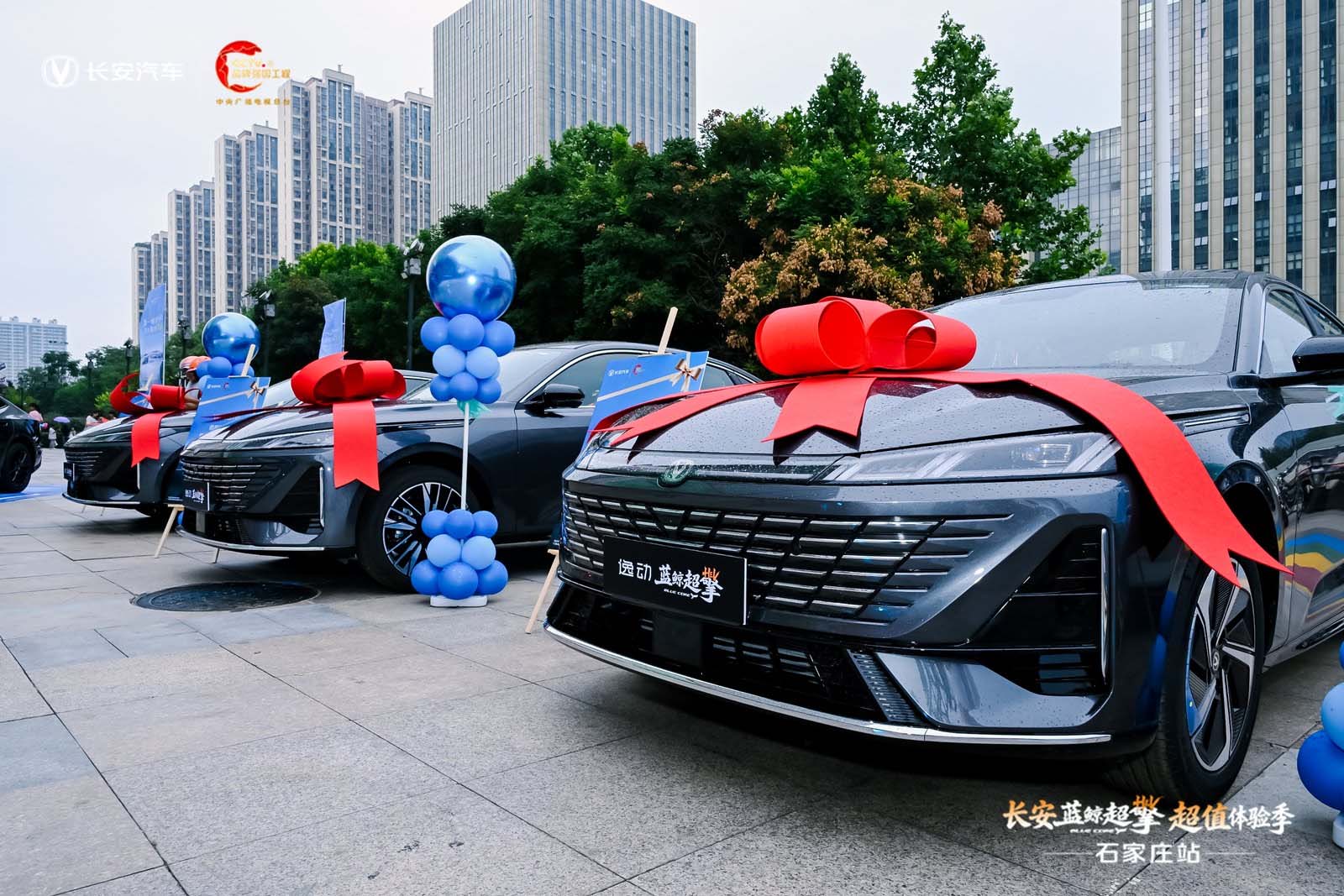 图片4 拷贝.jpg